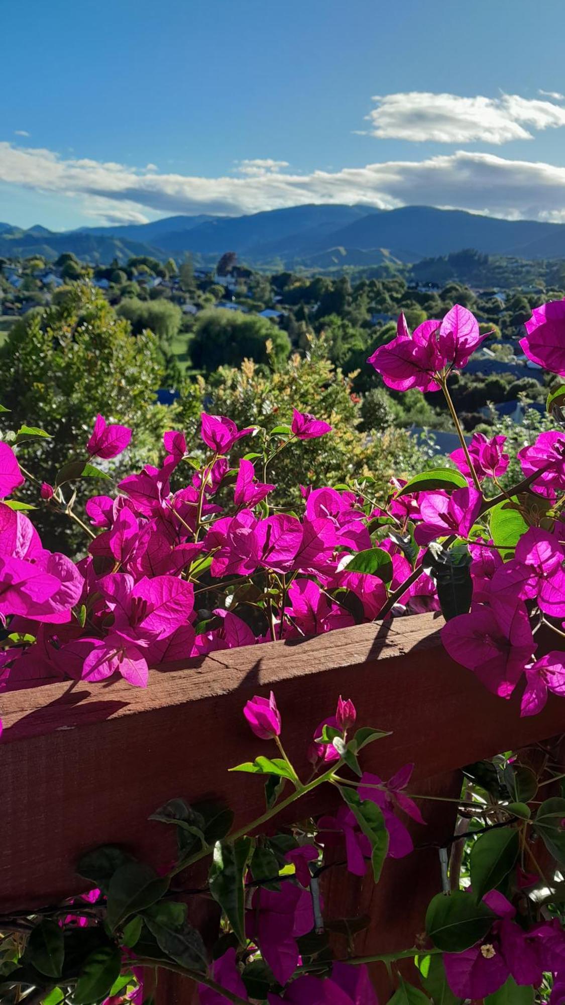 Hillview Homestay Ричмънт Екстериор снимка